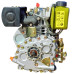 Двиг. диз. мотоблок173F шліц 20х25 мм (D5-1)